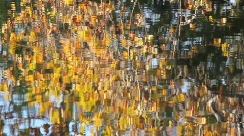 Fall Foliage reflection in pond Stock-Footage 5164486
