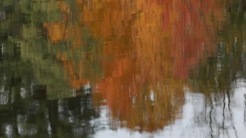 Fall foliage reflects on a lake in New England. Stock Footage 148147045