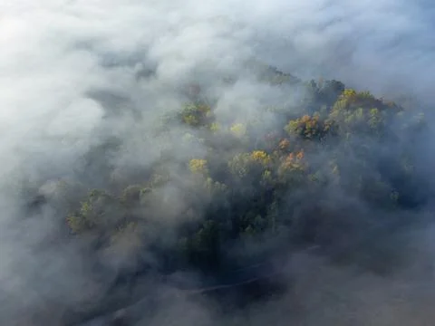 Fall foliage seen from overhead through mist and fog Foto stock