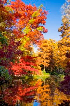 Fall Foliage in Texas Stock Photos