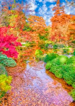 Fall Foliage in Texas Stock Photos