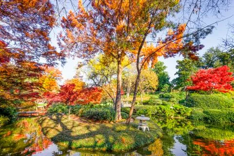 Fall Foliage in Texas Foto stock