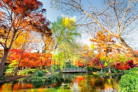 Fall Foliage in Texas Stock Photos