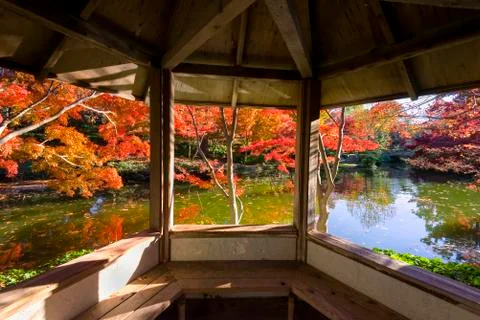 Fall Foliage in Texas Stock Photos