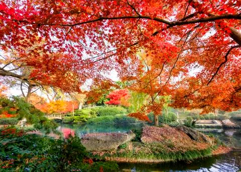 Fall Foliage in Texas Stock Photos