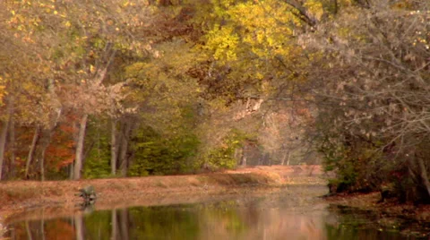 Fall foliage on the Tow Path Canal Potomac River, Maryland Stock Footage 38875790