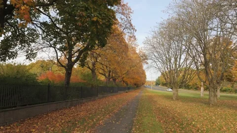 Fall Foliage Trees next to Walking Path in a rural Town, Autumn leaf color Scene Stock Footage 231601659