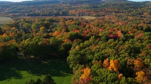Fall Foliage Treetops with Mountain View Stock Footage 219343786