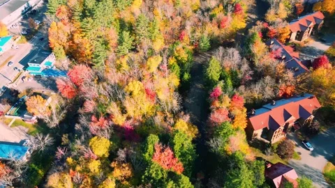 Fall foliage upshot small resort to white mountains 動画素材 302768485