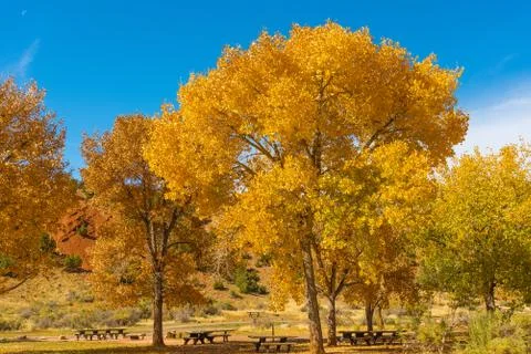 Fall foliage in Utah Stock Photos