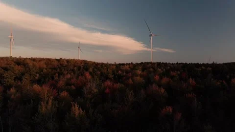 Fall Foliage with Windmills at Sunset Stock Footage 289579091