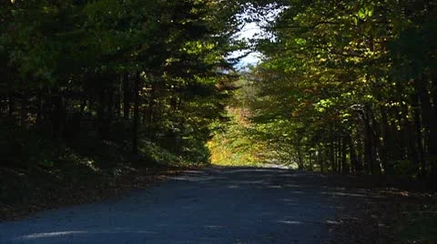 Fall Footage 01 - H264 Stock Footage 8853245