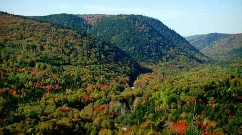 Fall Footage 05 - H264 Stock Footage 8853601