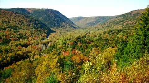 Fall Footage 07 - H264 Stock Footage 8853514