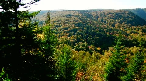 Fall Footage 08 - H264 Stock Footage 8853442