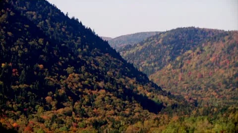 Fall Footage 09 - H264 Stock Footage 8853359