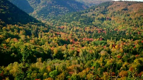 Fall Footage 13 - H264 Stock Footage 8861330