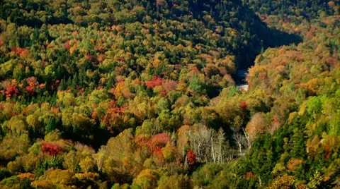 Fall Footage 15 - H264 Stock Footage 8861192
