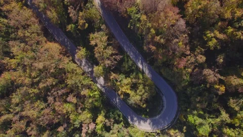 Fall forest 10 H.265 스톡 동영상 230300812