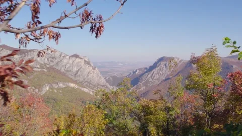 Fall forest 13 H.265 Stock Footage 230300874