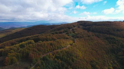 Fall forest 2 H.265 스톡 동영상 230300301