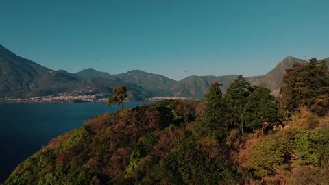 Fall Forest Canopy Lake Atitlan with vultures flying Stock Footage 339025746