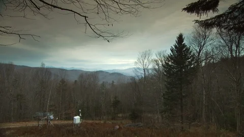 Fall Forest Video stock 123917427