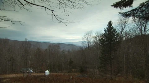 Fall Forest Stock Footage 123917497