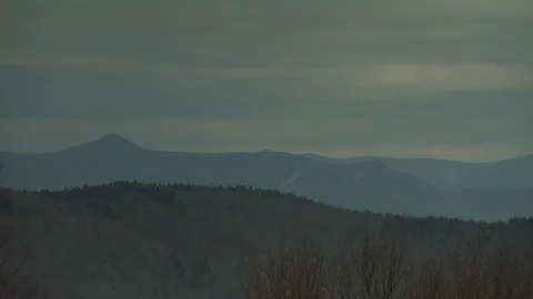 Fall Forest Stock Footage 123917510