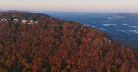 Fall Forest in Full Color from Above Stock Photos