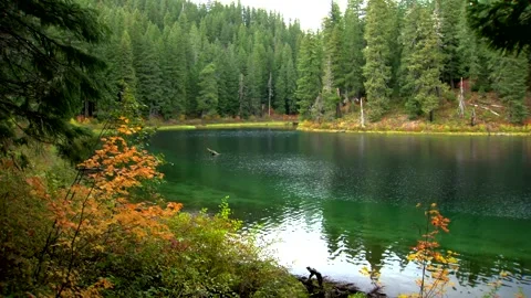 Fall Forest Lake 4 Stock Footage 249838044