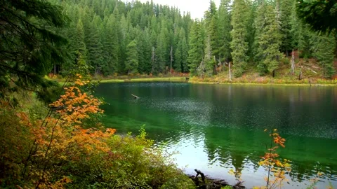 Fall Forest Lake  Stock Footage 249837962