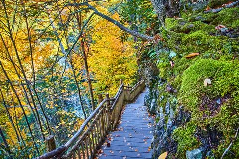 Fall forest in mossy rocky cliffs with wood boardwalk hiking trail covered in Foto stock