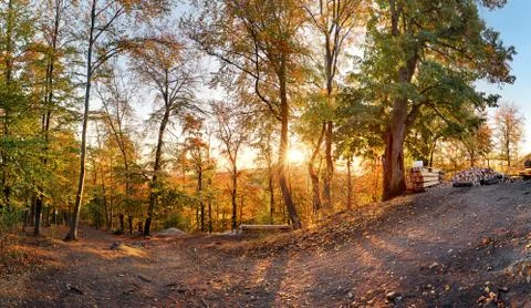 Fall in forest - panorama at sunset Stock Photos