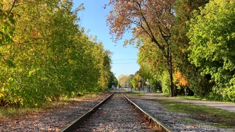 Fall Forest Railway Train Landscape, POV Railroad Colorful Tree Nature Stock Footage 150196277