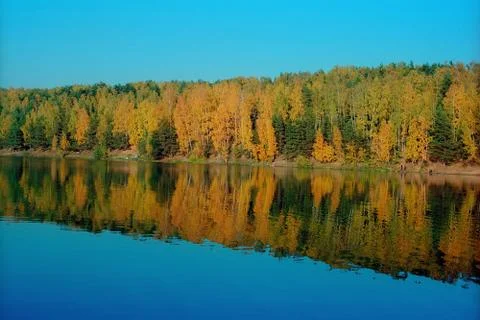 Fall forest reflection Stock Photos