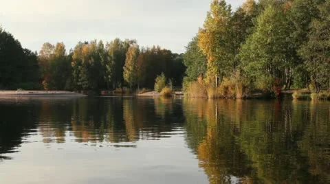 Fall forest reflections Stock Footage 12262410