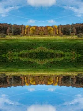 Fall forest themed creative pattern with blue sky.. Stock Photos