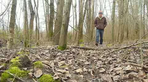 Fall Forest Walk 2 Stock Footage 10884668