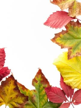 Fall frame Stock Photos