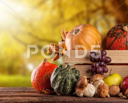 Fall fruit and vegetables on wood. Thanksgiving concept Stock Photos
