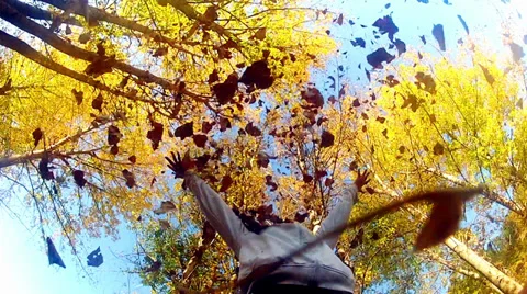 Fall fun! (hd,ntsc) - stock video Stock Footage 32345345