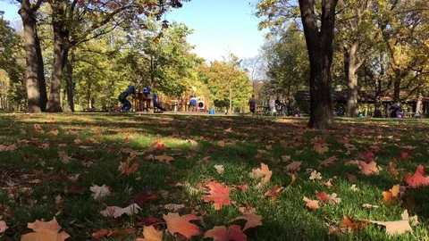 Fall Fun in Park 스톡 동영상 80845748