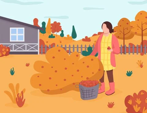 Fall garden semi flat vector illustration Stock Illustration