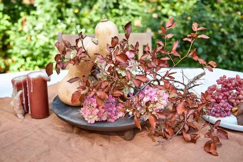 Fall garden table setting with pumpkins and hydrangea in brown and burgundy tone Stock Photos
