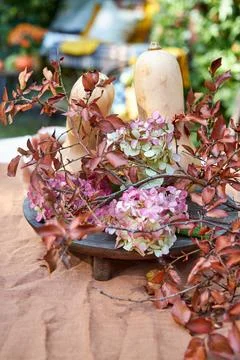 Fall garden table setting with pumpkins and hydrangea in brown and burgundy tone Stock Photos