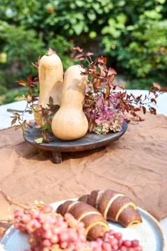 Fall garden table setting with pumpkins and hydrangea in brown and burgundy tone 스톡 사진