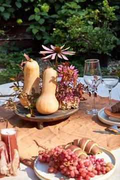 Fall garden table setting with pumpkins and hydrangea in brown and burgundy tone Stock Photos