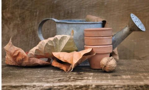 Fall gardening Stock Photos