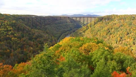 Fall in the gorge Stock Footage 8839962